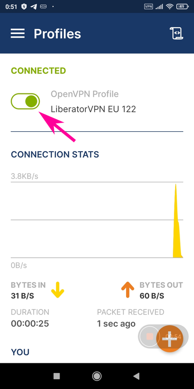 OpenVPN Connect Android - Connection indicator Switch showing that you are connected